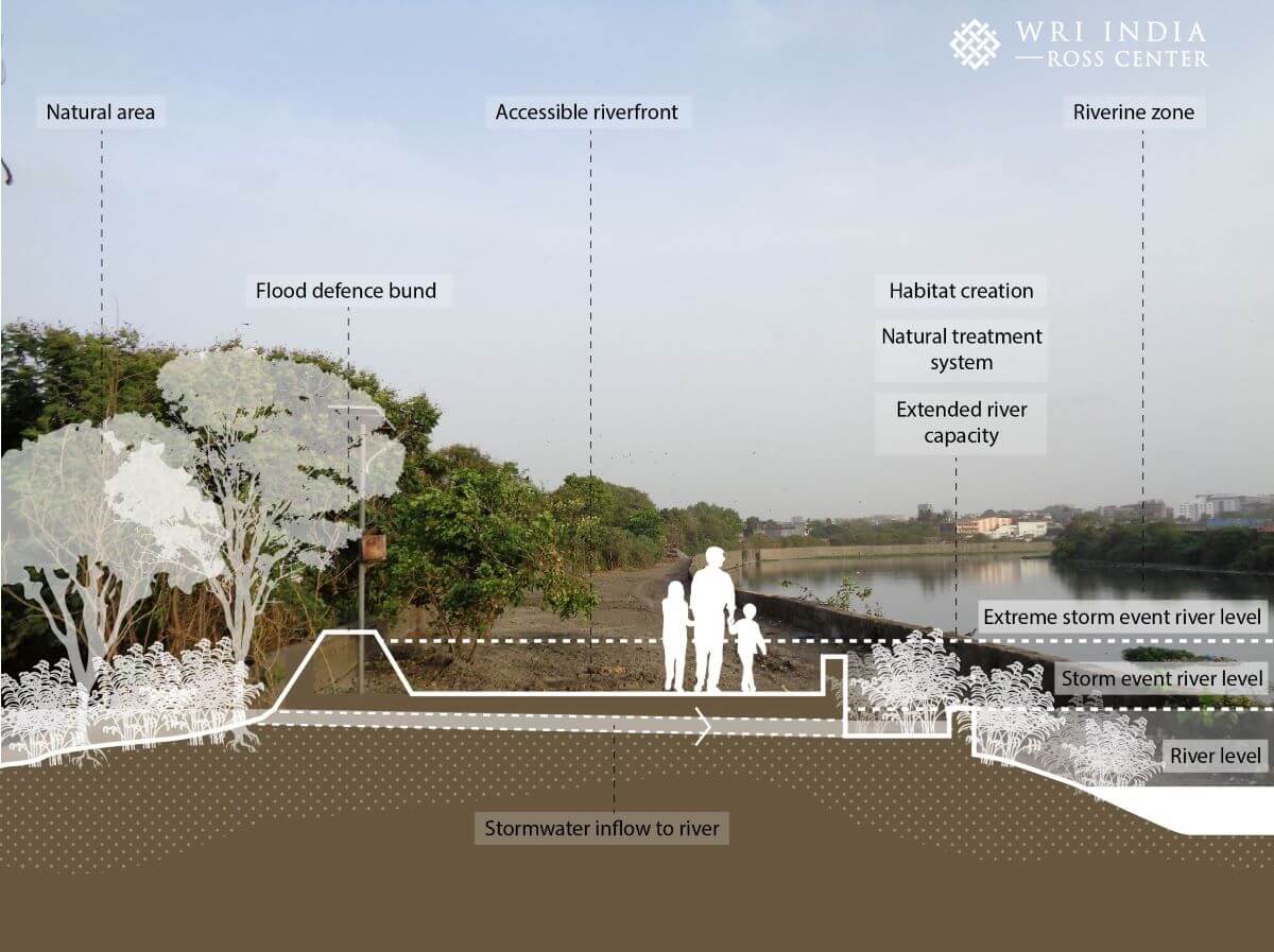 Conceptualized accessible multifunctional water-sensitive riverbank with expanded stormwater capacity and riverine biodiversity
